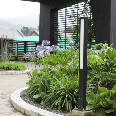 Conjunto Reserva Silvestre