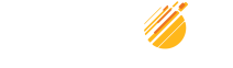 LOGO PROTON_Blanco
